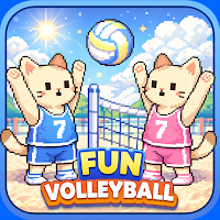 Fun Volleyball
