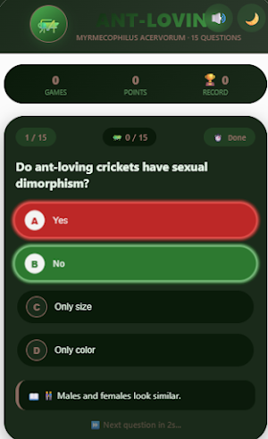 Ant-Loving mr Bit Cricket Quiz Screenshot 2