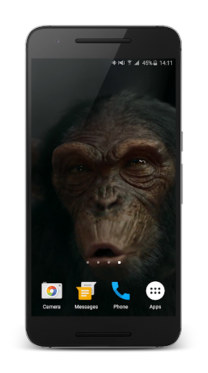 Talking Monkey Live Wallpaper Screenshot 3