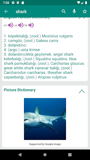 Turkish English Dictionary Screenshot 1