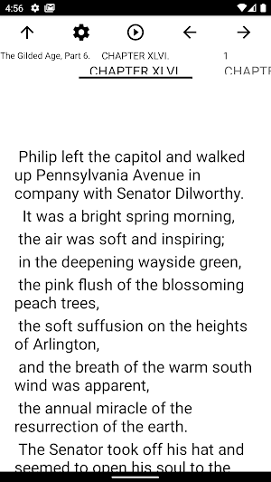 Book, The Gilded Age, Part 6. Screenshot 1