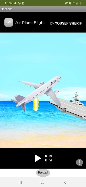 Air Plane Flight Screenshot 3