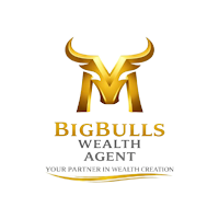 Bigbulls Agent