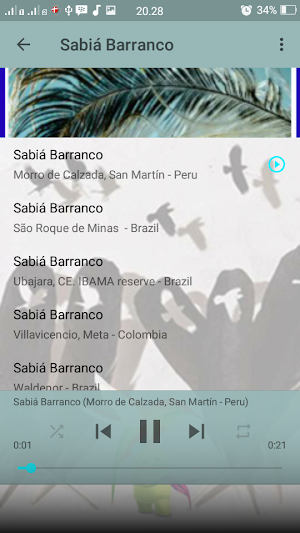 Canto Fêmea de Sabiá Barranco Screenshot 3