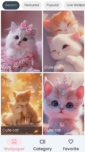 Cute Cat Wallpaper Screenshot 2