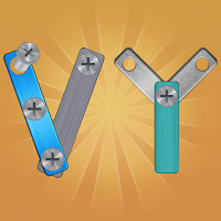 Wood Screw Puzzle Master