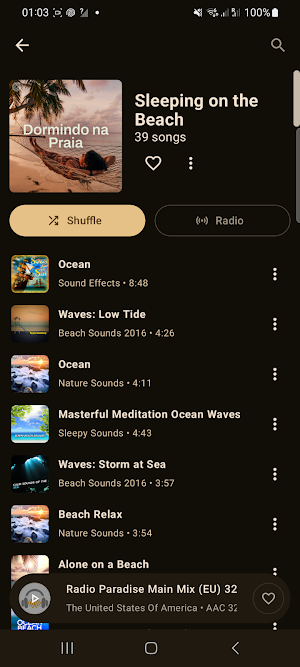 Tuner Radio - Mp3 player Screenshot 1