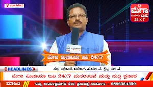 Mega Media TV Screenshot 0
