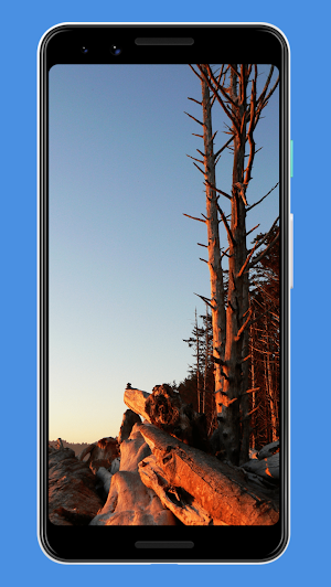 Washington Wallpapers Screenshot 0