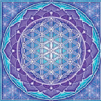 LiveMeditation