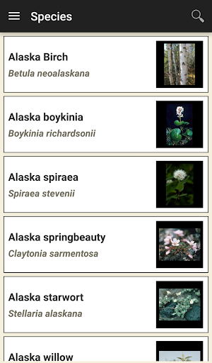 DenaliFlora Interactive Key Screenshot 3