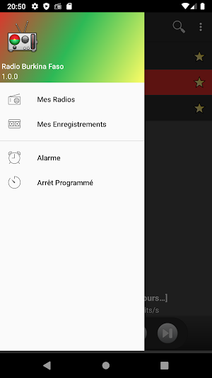 RADIO BURKINA FASO : Radios Burkinabé en direct Screenshot 0
