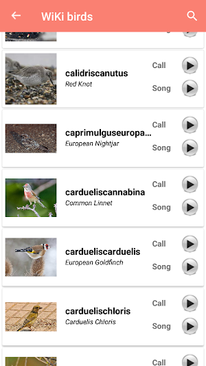Bird Identification Screenshot 1