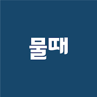 물때와 바다날씨 – 바다 낚시를 위한 완벽한 동반자!
