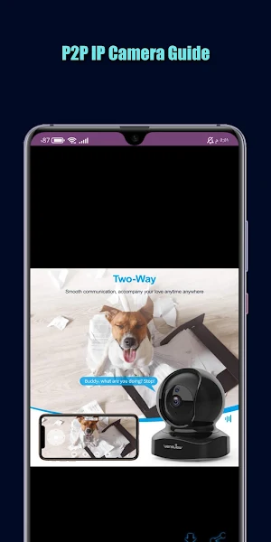 P2P IP Camera Guide Screenshot 3