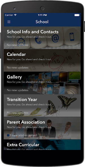 Scoil Chríost Rí, Portlaoise Screenshot 3