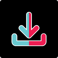 Tiktok Video Downloader