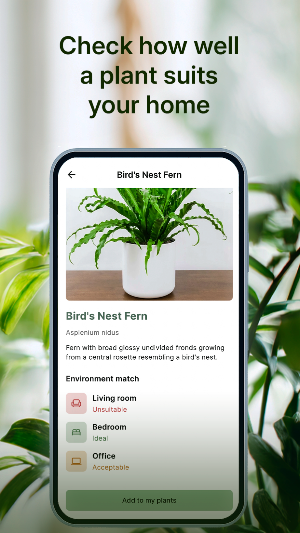 Water My Plant Screenshot 1