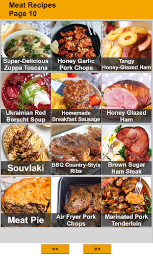 200 Meat Recipes Screenshot 1