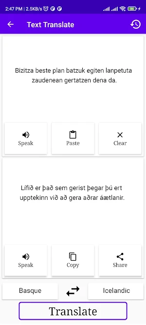 Basque To Icelandic Translator Screenshot 1