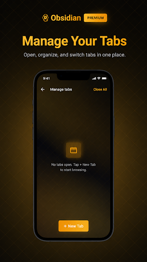 Obsidian: Private Browser Screenshot 1