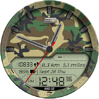 aad07 Camouflage_2