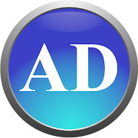 Auditor Digital Net