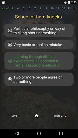 English Idioms Quiz Screenshot 3