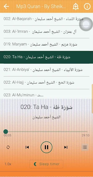 Ahmad Sulaiman Offline Quran Screenshot 2