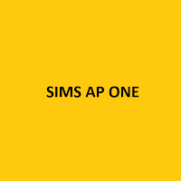SIMS AP One