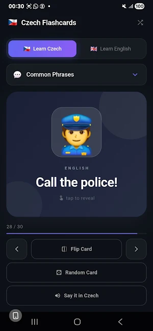 Learn Czech: Flashcards Screenshot 0