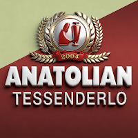 Anatolian Kebap