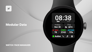 Modular Data Watch Face Screenshot 0