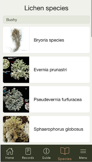 LicheN Screenshot 2