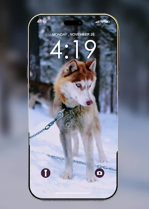 Wolf Wallpaper HD Screenshot 1