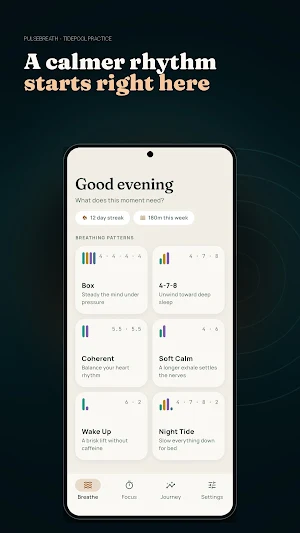 PulseBreath: Breathe & Focus Screenshot 0