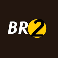 BR2 DISTRIBUIDORA DE PECAS
