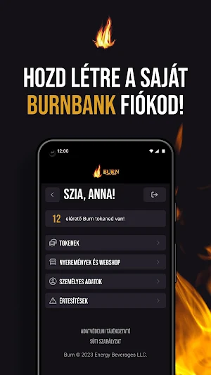 BurnBank Screenshot 1