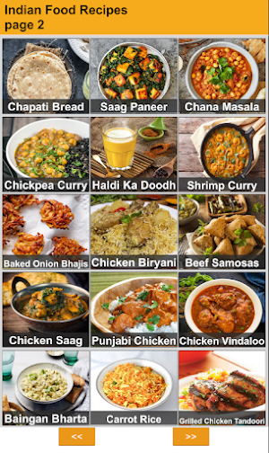 100 Indian Recipes Screenshot 2