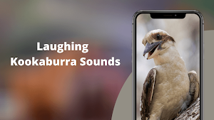 Laughing Kookaburra Sounds Screenshot 1