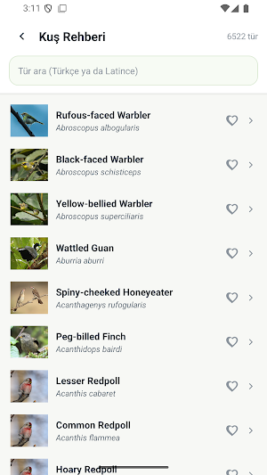 Boring Bird Sound Identifier Screenshot 2