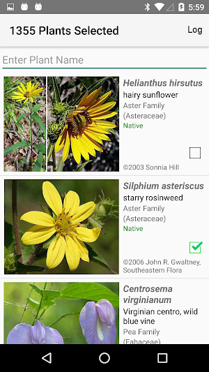 Alabama Wildflowers Screenshot 1