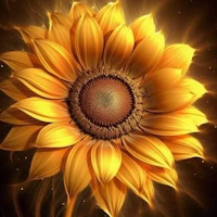 Good Morning Images, Wishes