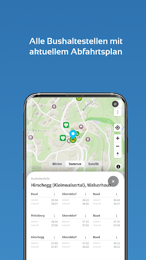 Gemeinde Mittelberg Screenshot 2