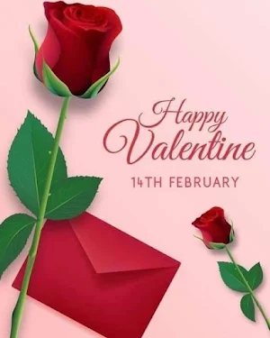 Valentine's Day Flowers 2024 Screenshot 2