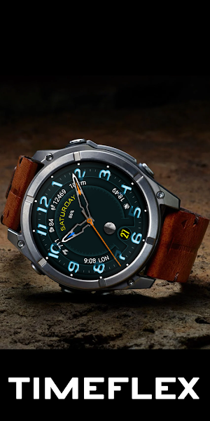 Timeflex Screenshot 3
