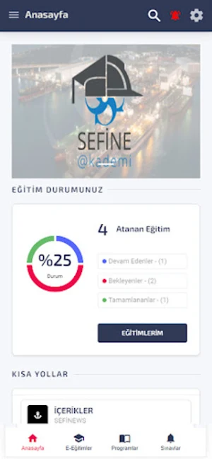 Sefine Akademi Screenshot 0