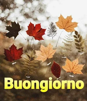 buongiorno immagini Screenshot 2