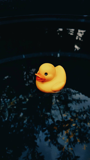 Rubber Duck Wallpaper Screenshot 0