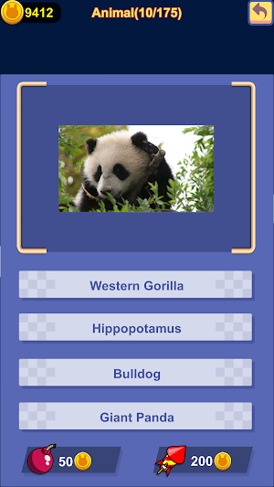 Quiz Bunny Screenshot 1